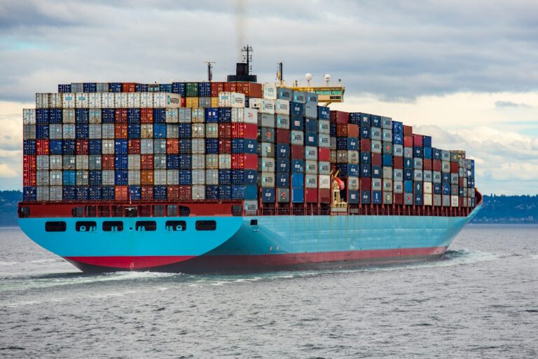 Read more about the article Docker szerepe és előnyei a self hosting világában